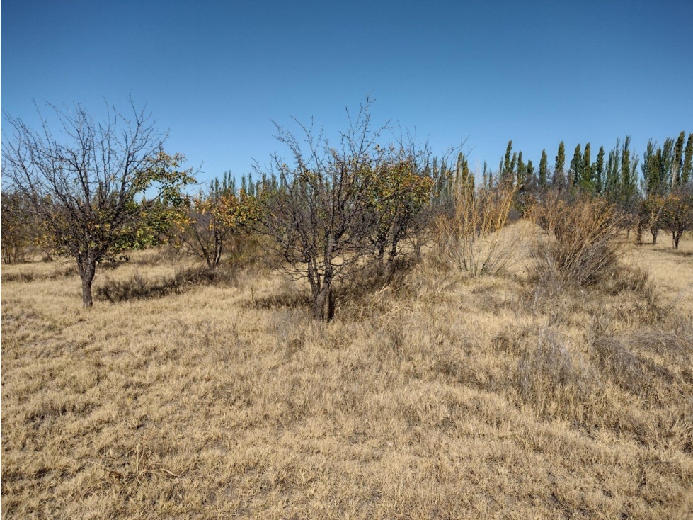 VENDO 5 HECTAREAS SOBRE RUTA PROVINCIAL N° 160 - 1
