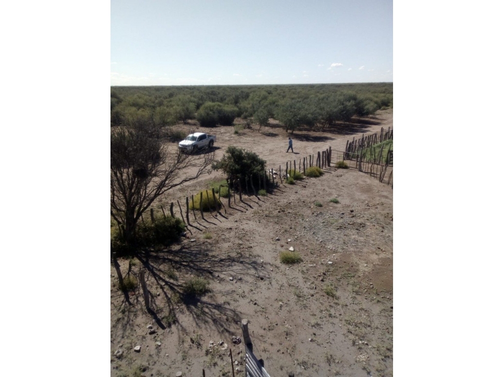 VENDO CAMPO GANADERO EN CARMENSA GENERAL ALVEAR MENDOZA - 3