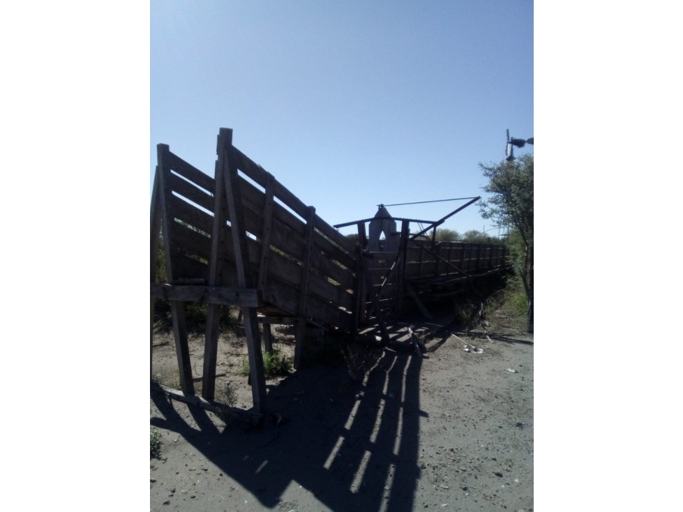 VENDO CAMPO GANADERO EN CARMENSA GENERAL ALVEAR MENDOZA - 6