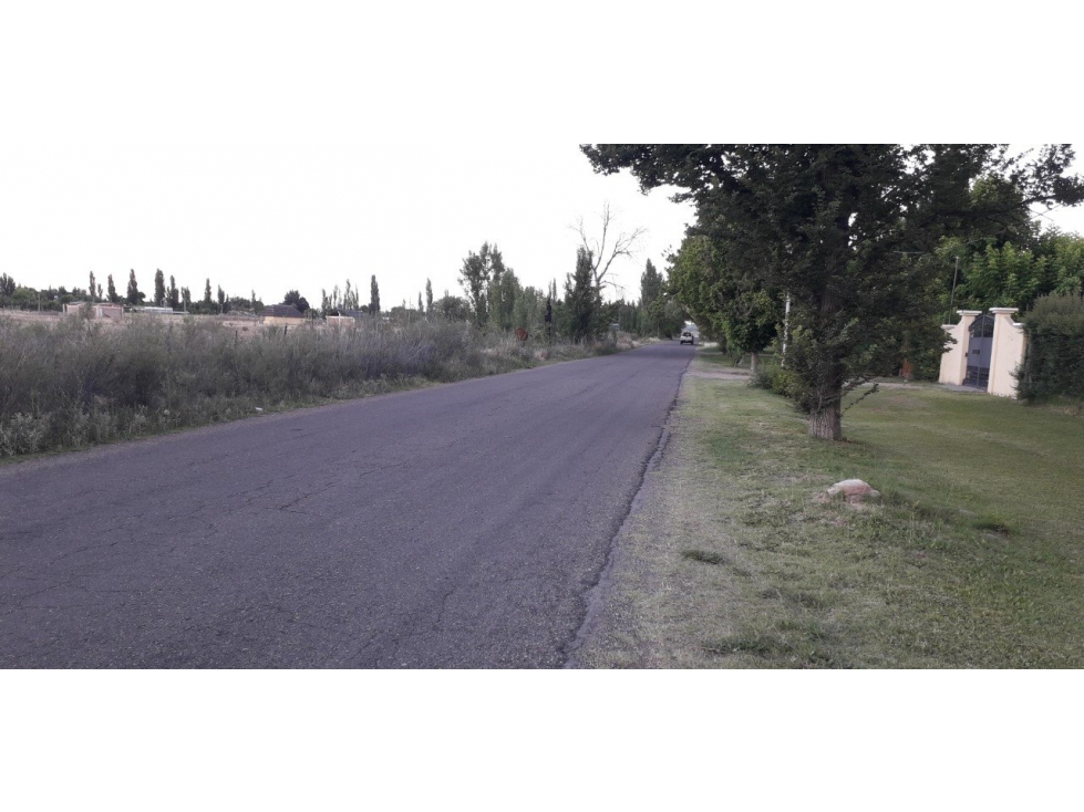 VENDO LOTE CUADRO BENEGAS - 2