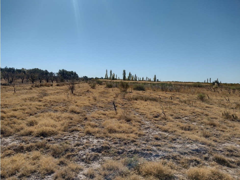 VENDO 5 HECTAREAS SOBRE RUTA PROVINCIAL N° 160 - 2