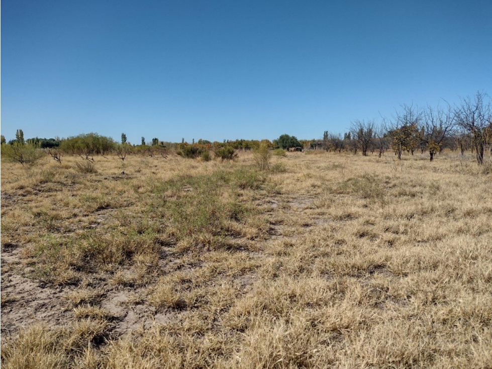 VENDO 5 HECTAREAS SOBRE RUTA PROVINCIAL N° 160 - 3