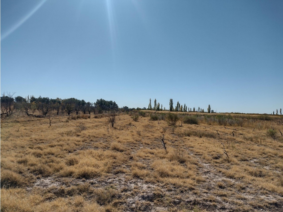 VENDO 5 HECTAREAS SOBRE RUTA PROVINCIAL N° 160 - 6
