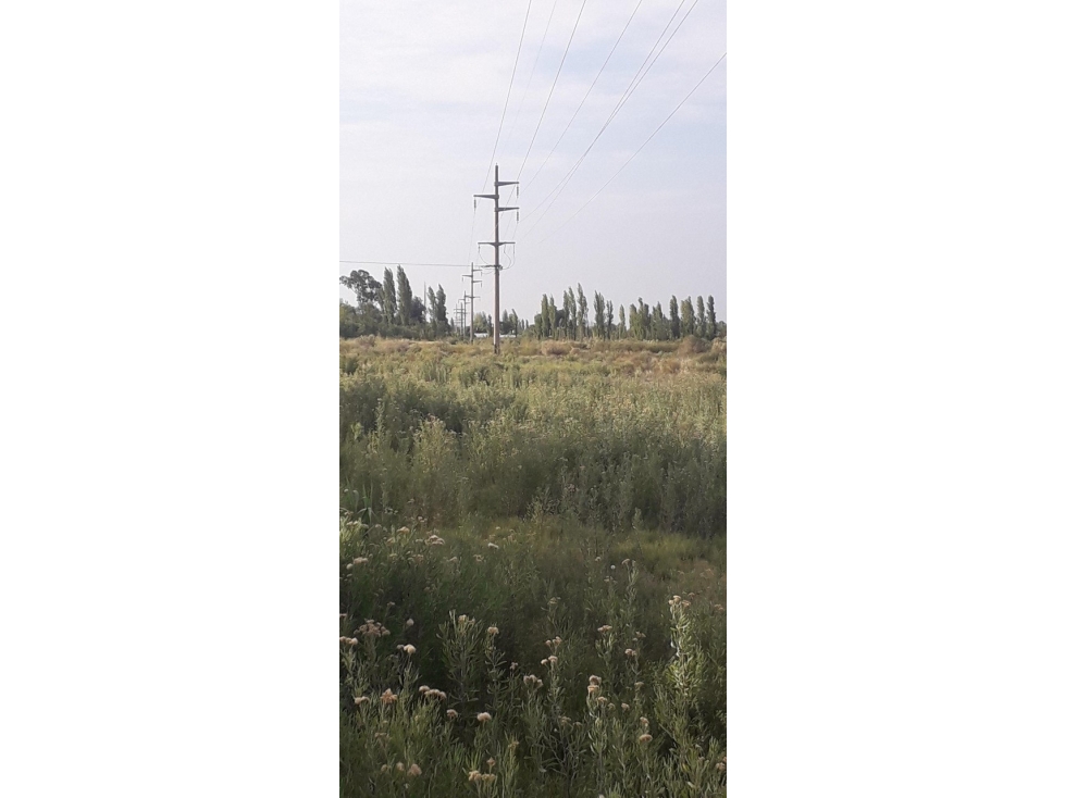 VENDO TERRENO INMACULADO EN CRUCE RUTA 160 Y 165 SAN RAFAEL - 3