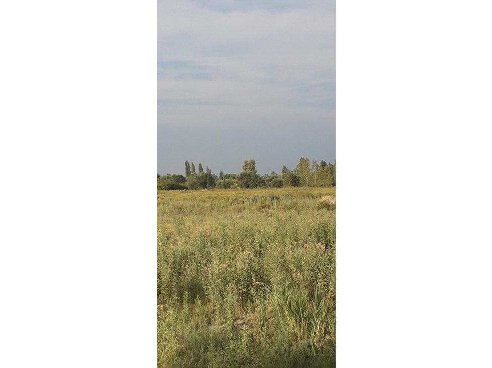 VENDO TERRENO INMACULADO EN CRUCE RUTA 160 Y 165 SAN RAFAEL - 5