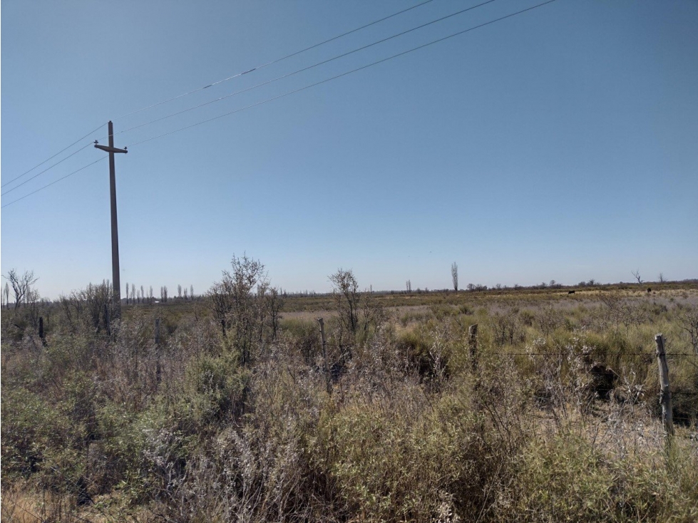 VENDO FINCA EN BLANCO DE 64 HECTAREAS EN SAN RAFAEL MENDOZA - 3