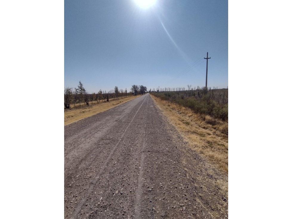VENDO FINCA EN BLANCO DE 64 HECTAREAS EN SAN RAFAEL MENDOZA - 5