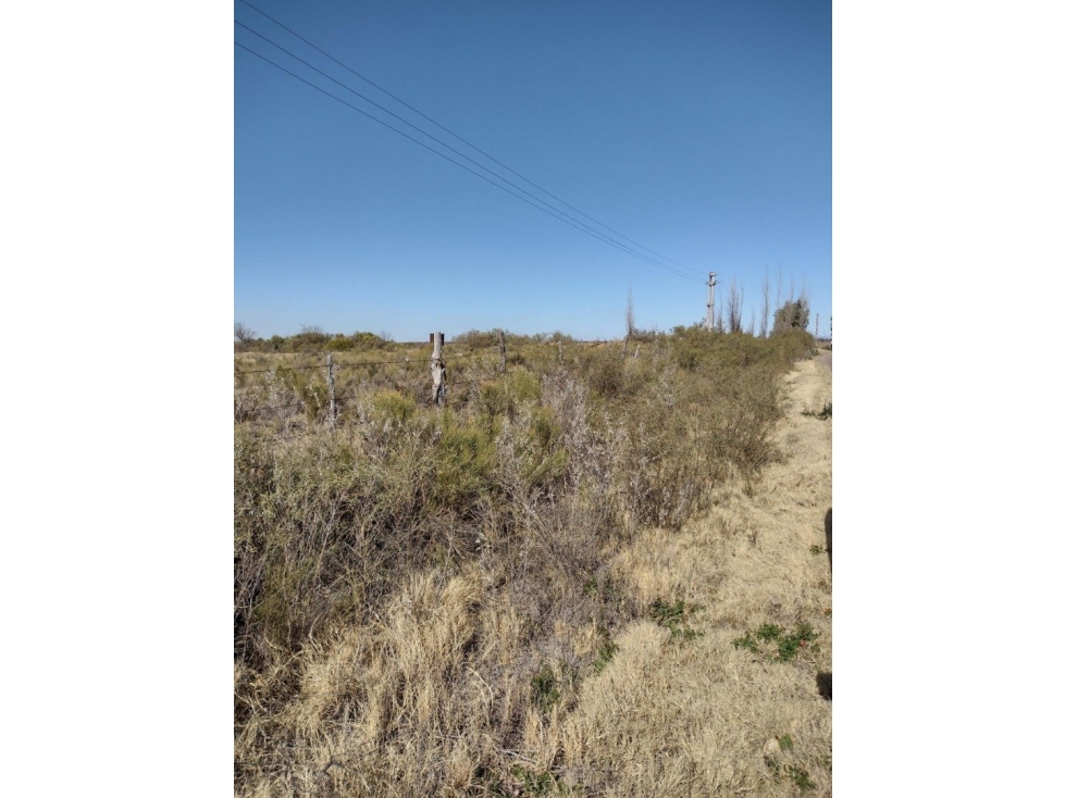 VENDO FINCA EN BLANCO DE 64 HECTAREAS EN SAN RAFAEL MENDOZA - 6