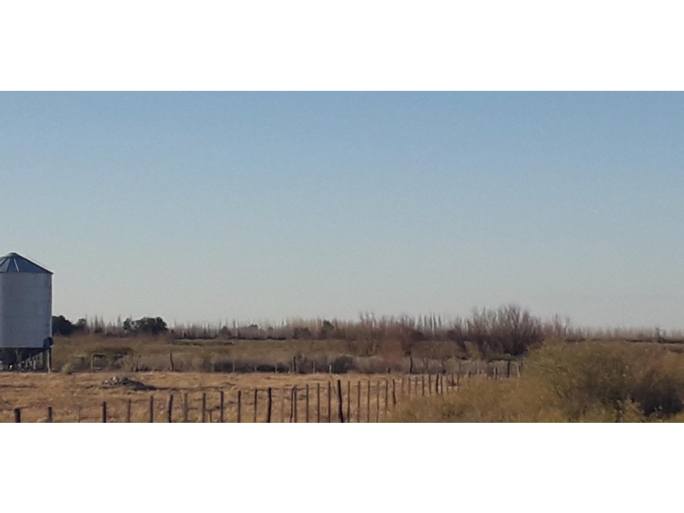 VENDO 7 HECTAREAS EN SAN RAFAEL MENDOZA - 2