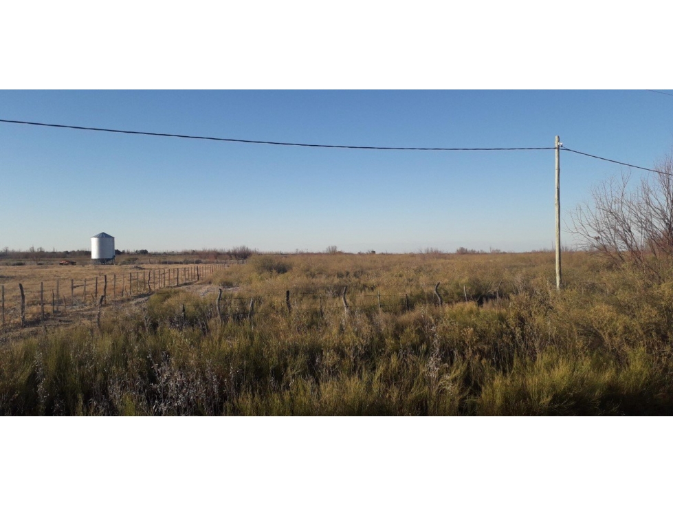 VENDO 7 HECTAREAS EN SAN RAFAEL MENDOZA - 3