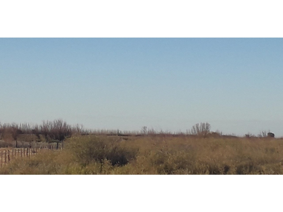 VENDO 7 HECTAREAS EN SAN RAFAEL MENDOZA - 4