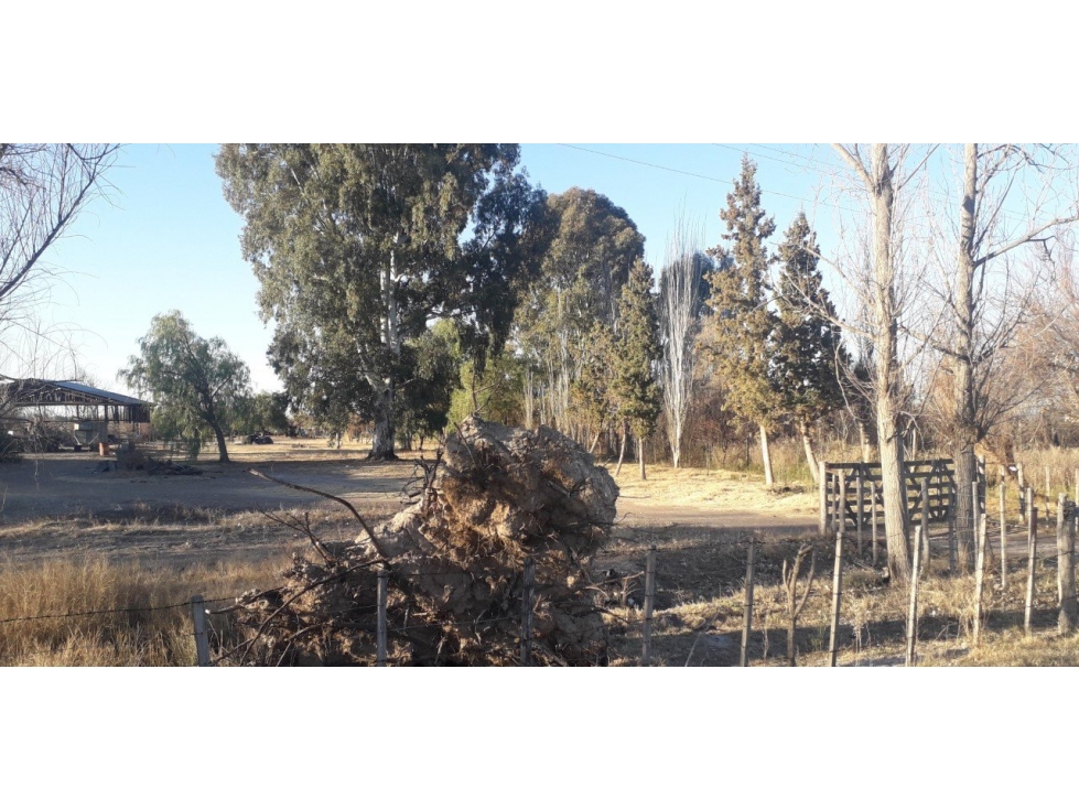 VENDO 7 HECTAREAS EN SAN RAFAEL MENDOZA - 6