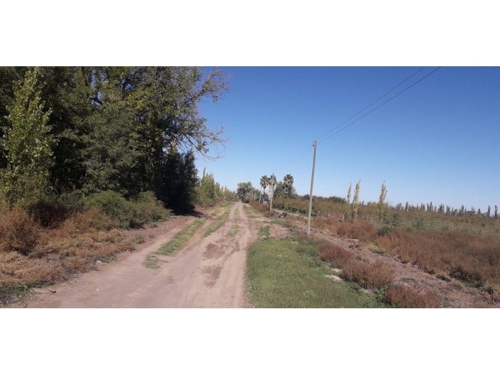 VENDO 5 HECTAREAS LAS AGUADITAS SAN RAFAEL MENDOZA - 3