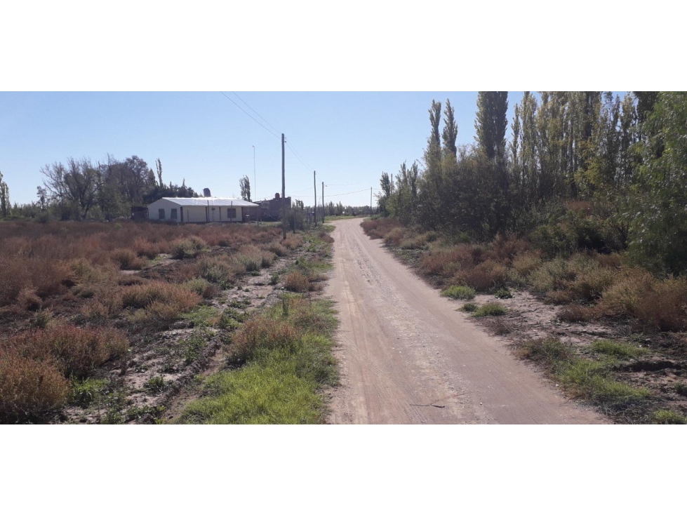 VENDO 5 HECTAREAS LAS AGUADITAS SAN RAFAEL MENDOZA - 4