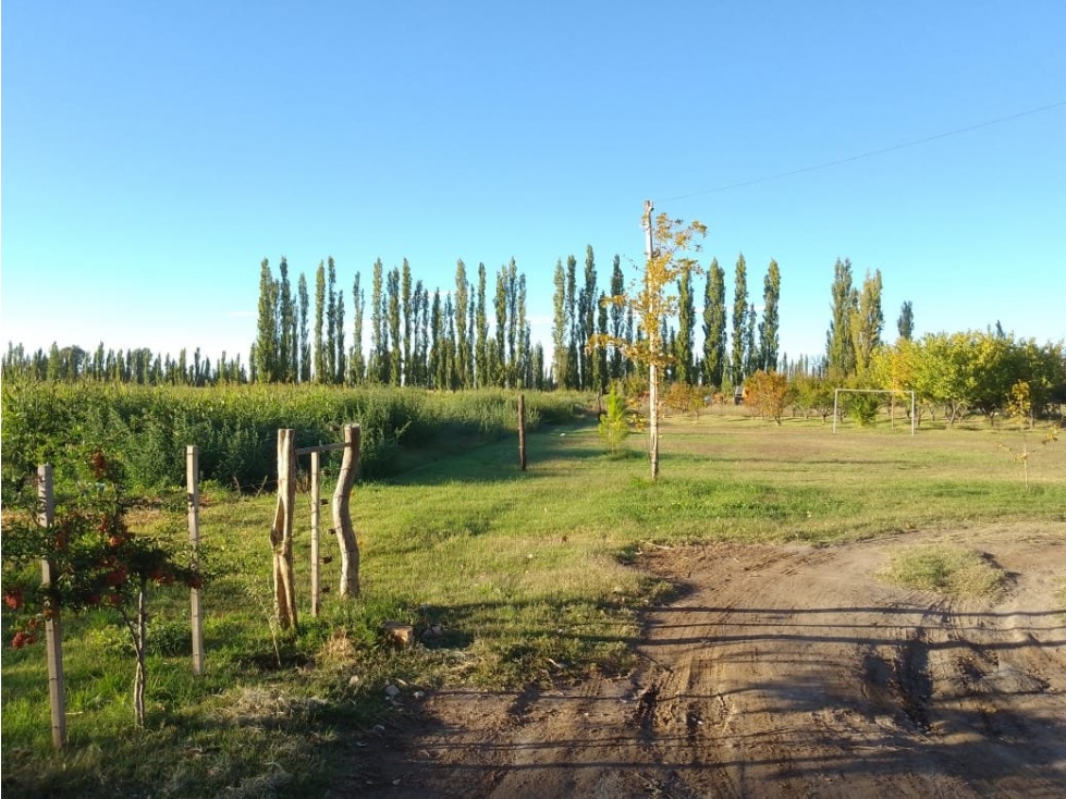 VENDO FINCA EN SOITUE SAN RAFAEL - 6