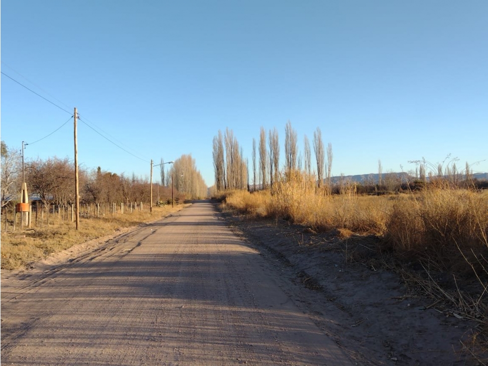 VENDO 5 HECTAREAS CUADRO BENEGAS SAN RAFAEL - 6