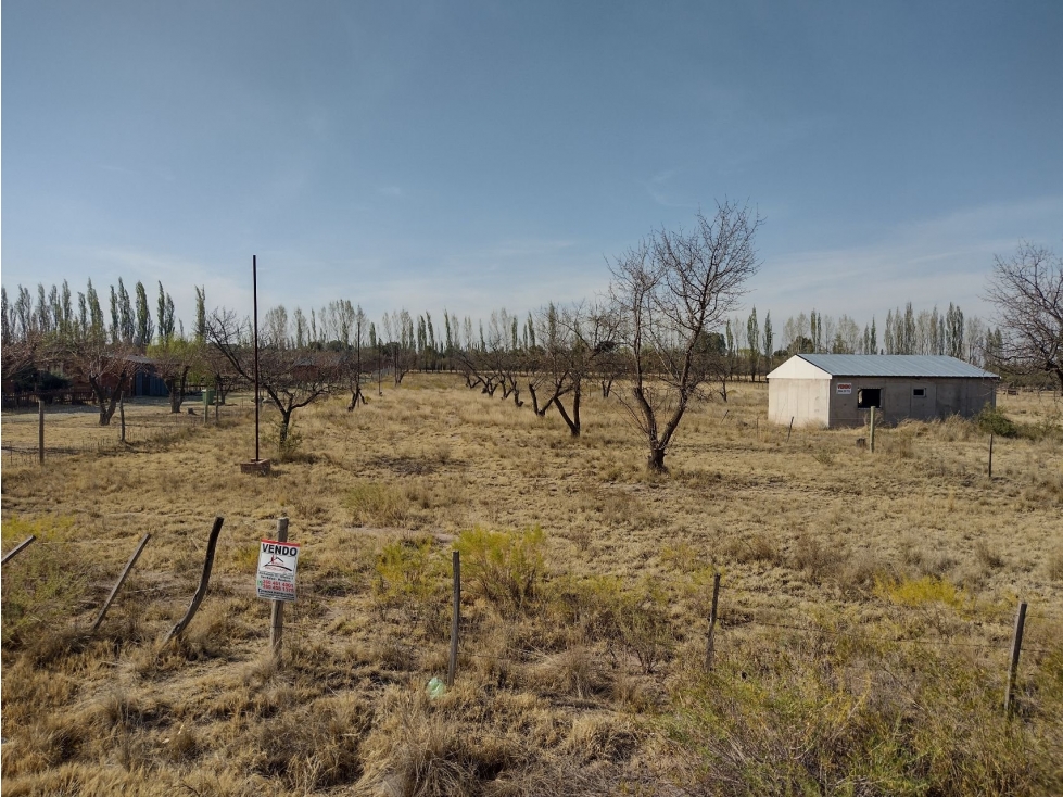 VENDO LOTE 6000 METROS SAN RAFAEL - 2