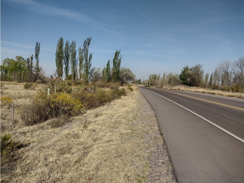 VENDO LOTE 6000 METROS SAN RAFAEL - 3