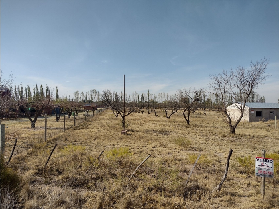 VENDO LOTE 6000 METROS SAN RAFAEL - 6
