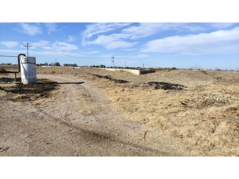 VENTA DE FINCA 25 HAS EN CALLE NUEVA GIL, LA CENTRAL- RIVADAVIA. - 3
