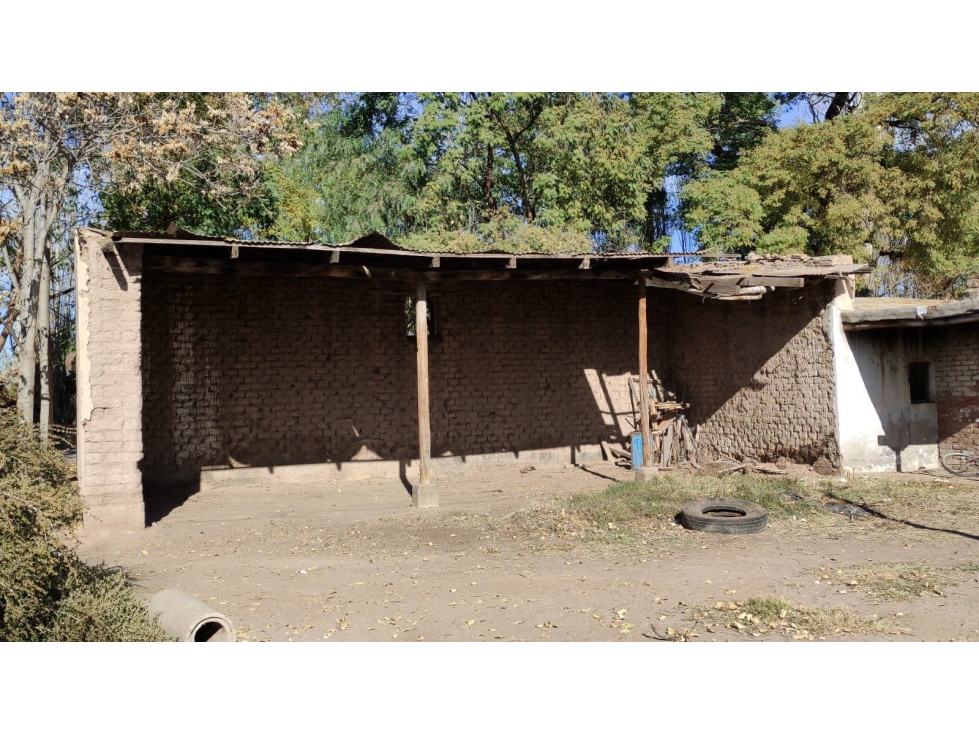 VENTA DE FINCA 25 HAS EN CALLE NUEVA GIL, LA CENTRAL- RIVADAVIA. - 4