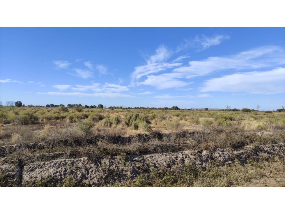 VENTA DE FINCA 25 HAS EN CALLE NUEVA GIL, LA CENTRAL- RIVADAVIA. - 5