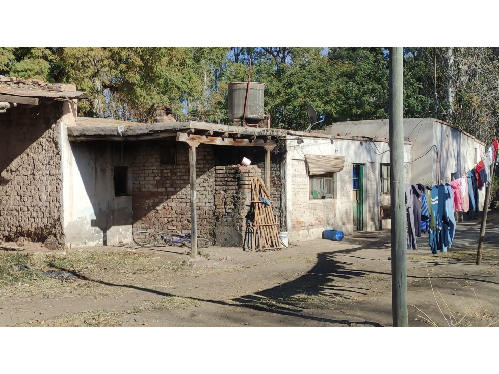 VENTA DE FINCA 25 HAS EN CALLE NUEVA GIL, LA CENTRAL- RIVADAVIA. - 6
