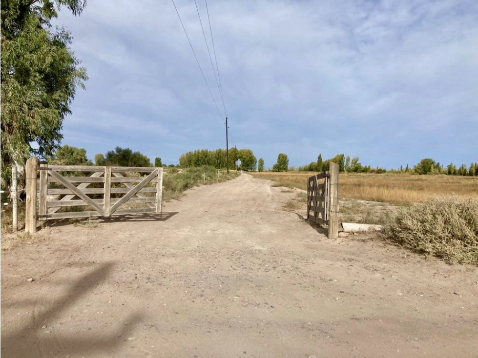 INMOBILIARIA MENDOKEY VENDE FINCA 50HAS EN LA DORMIDA, SANTA ROSA-MZA. - 3