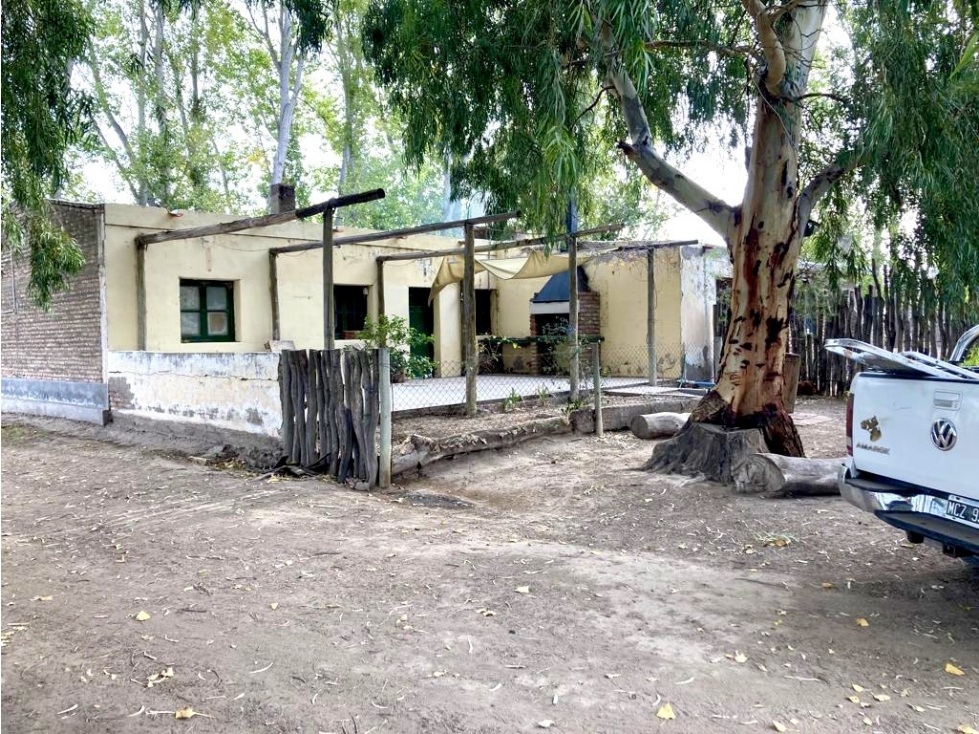INMOBILIARIA MENDOKEY VENDE FINCA 50HAS EN LA DORMIDA, SANTA ROSA-MZA. - 4