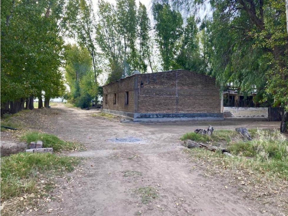 INMOBILIARIA MENDOKEY VENDE FINCA 50HAS EN LA DORMIDA, SANTA ROSA-MZA. - 5