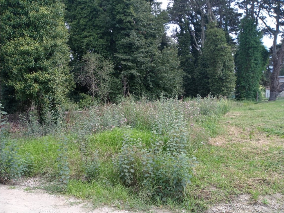 VENTA / LOTE SIERRA DE LOS PADRES / MAR DEL PLATA - 1