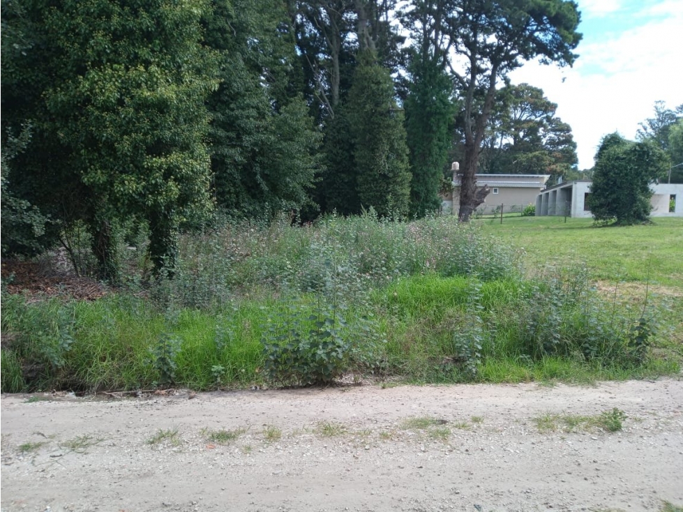 VENTA / LOTE SIERRA DE LOS PADRES / MAR DEL PLATA - 2