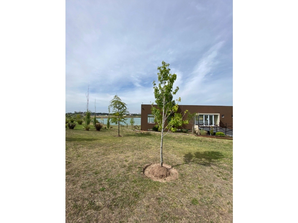 TERRENO BARRIO LOS JUNCOS — foto 6