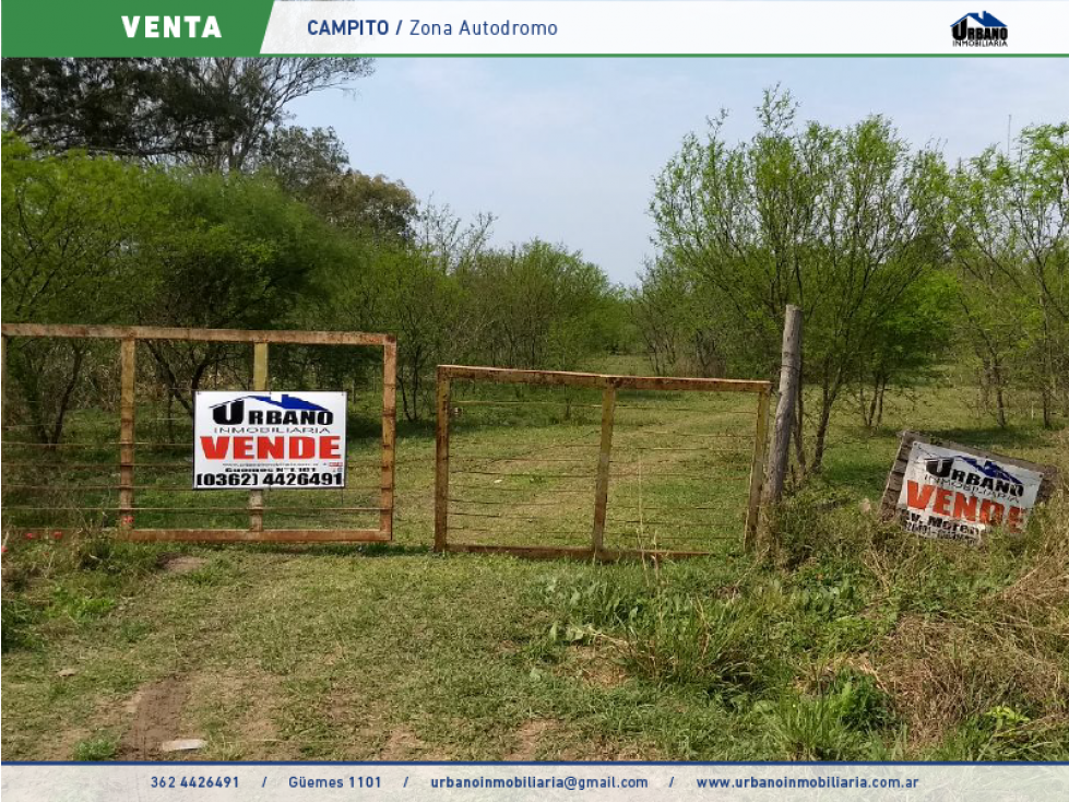 CAMPO EN ZONA DE AUTODROMO - 2