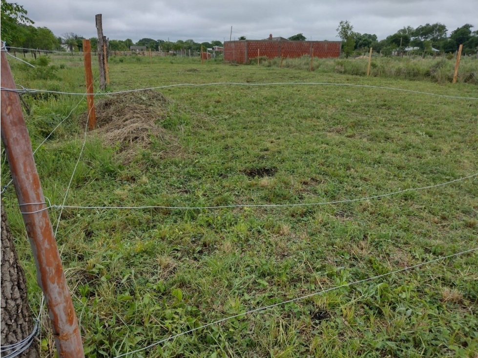 TERRENO EN PASO DE LA PATRIA - 2