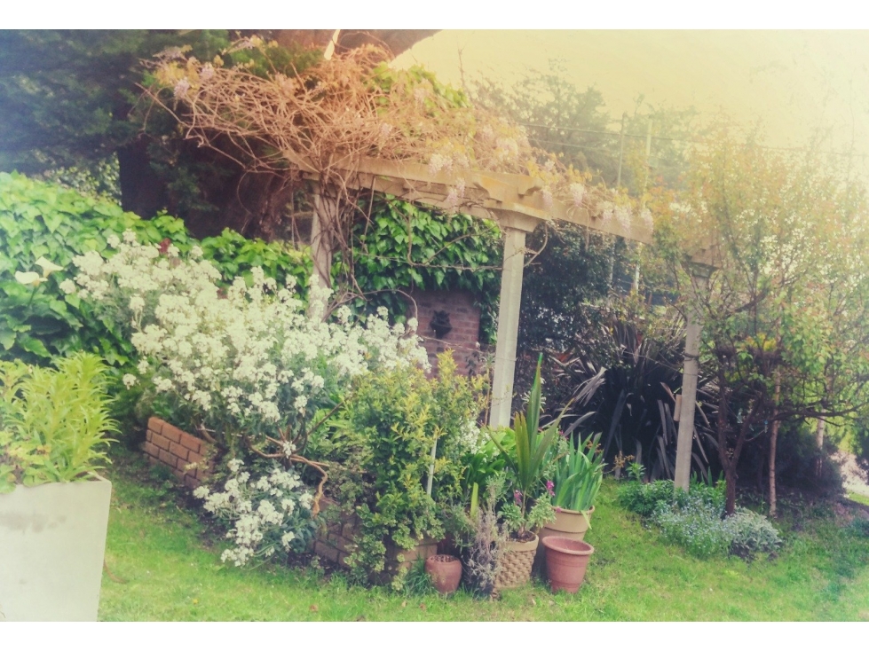 Casa en Acantilados Sobre Dos Terrenos — foto 5