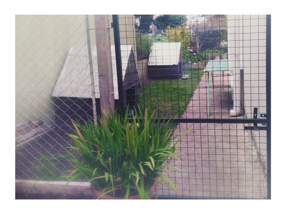Casa en Acantilados Sobre Dos Terrenos — foto 6