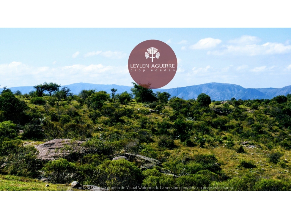 Lote plano y arbolado de 1200 m2 en Villa Flor Serrana.Tanti. - 4