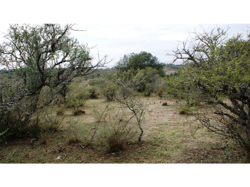Lote plano y arbolado de 1200 m2 en Villa Flor Serrana.Tanti. - 6