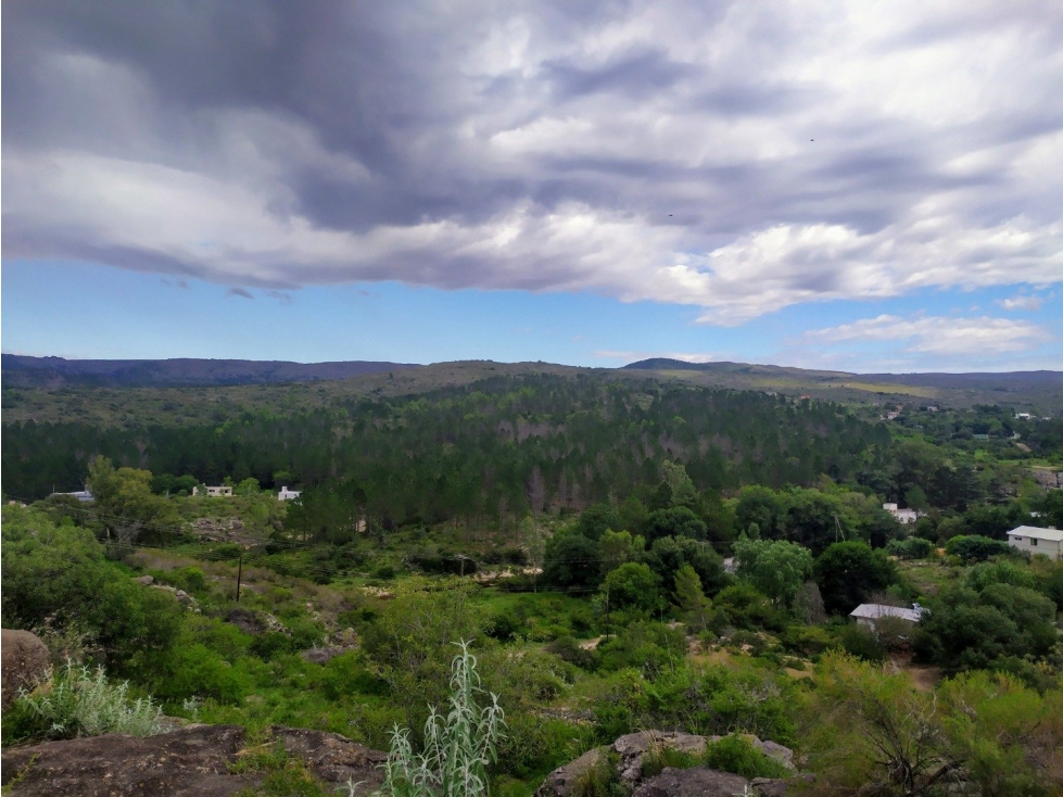 Vista única al pinar!! Excelente lote Villa Flor Serrana. - 5