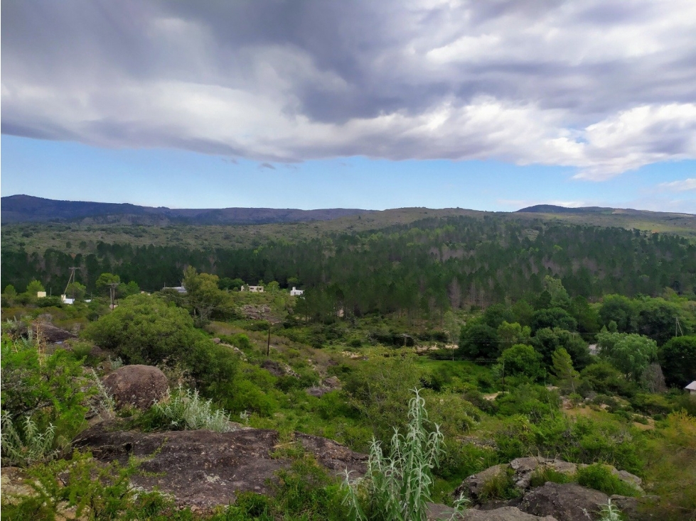 Vista única al pinar!! Excelente lote Villa Flor Serrana. - 6