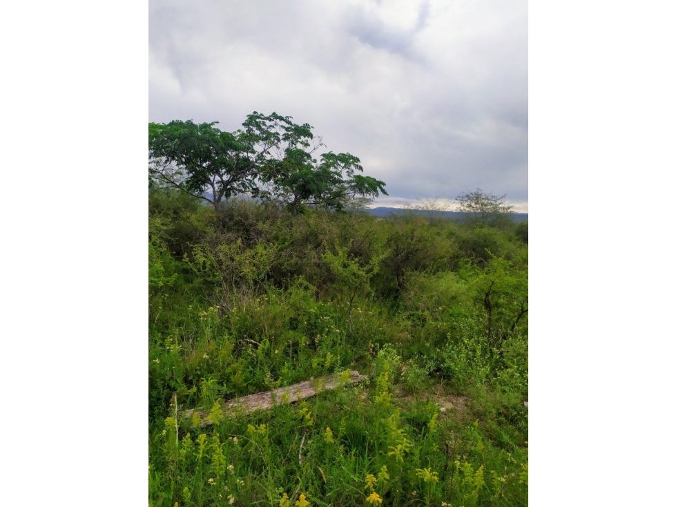 Excelente terreno 2500 m2, vista al Lago. Va. Parque Siquiman - 2