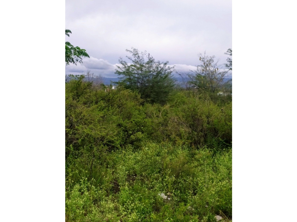 Excelente terreno 2500 m2, vista al Lago. Va. Parque Siquiman - 6