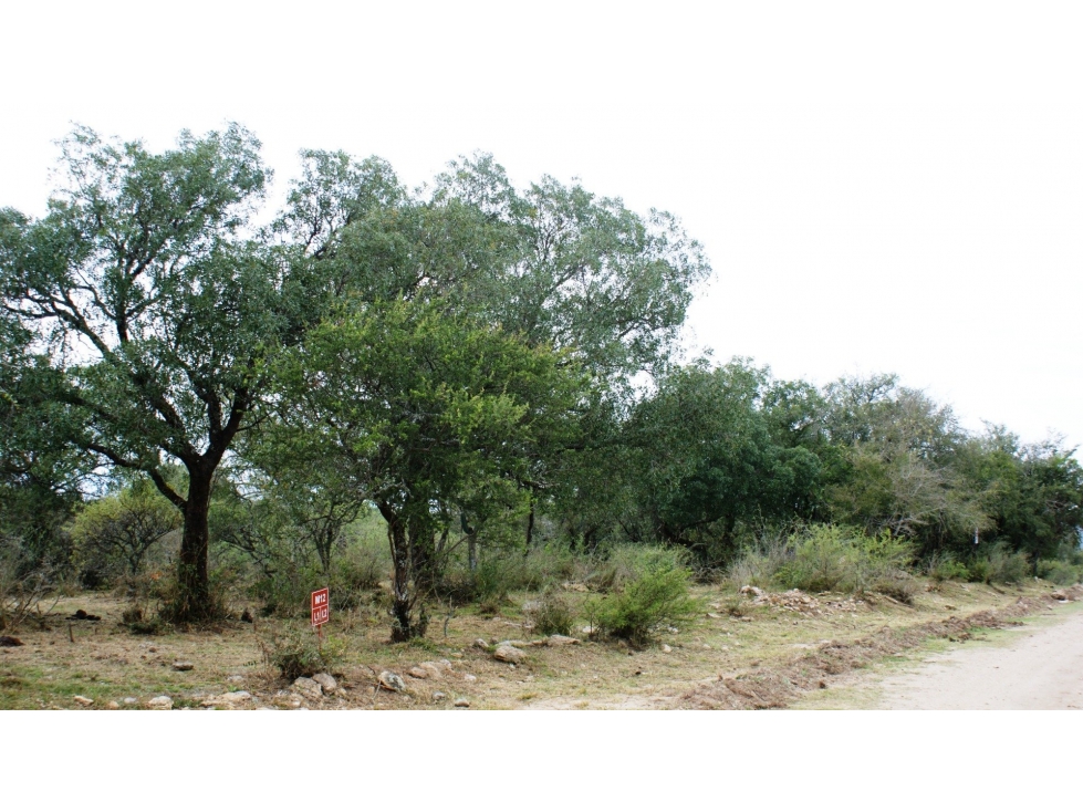 Terreno en Tanti, plano, vegetación autóctona, agua. Villa Flor Serran - 2