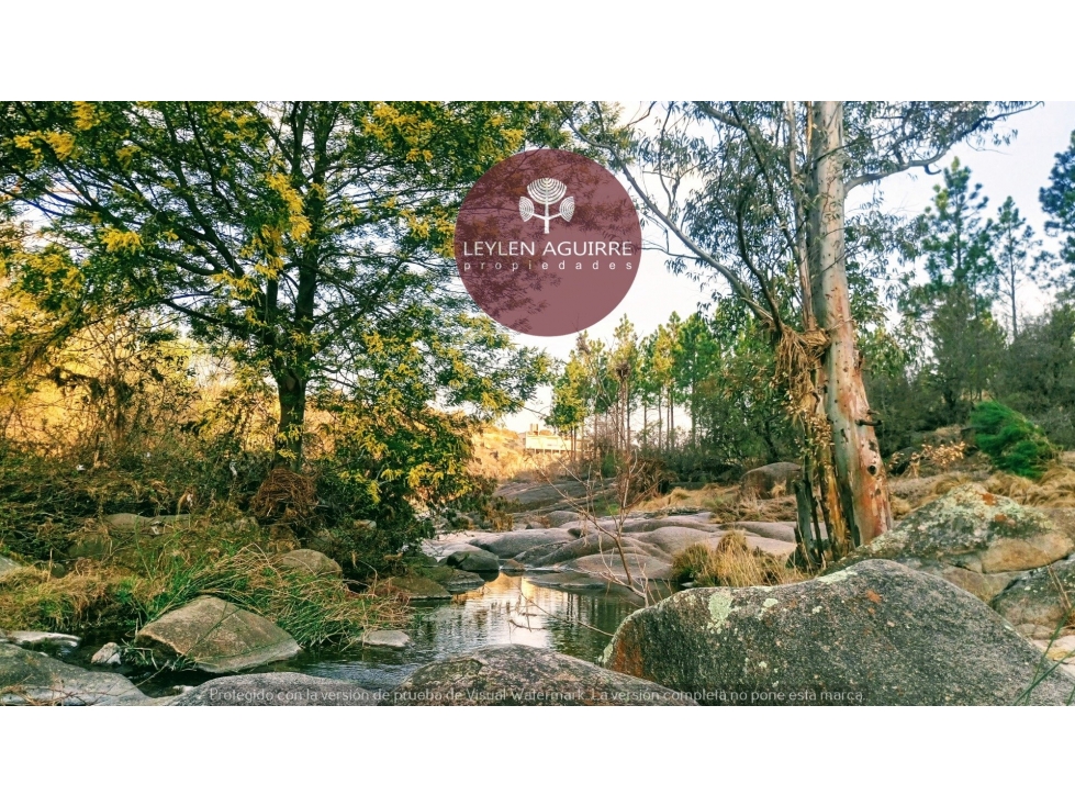 Terreno en Tanti, plano, vegetación autóctona, agua. Villa Flor Serran - 3