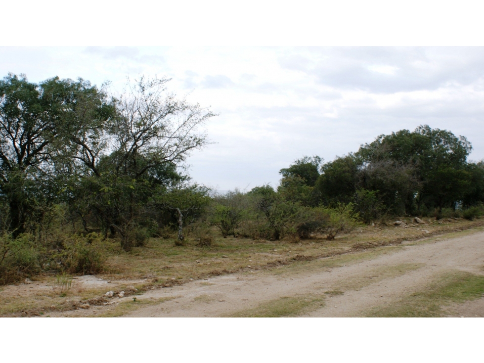 Terreno en Tanti, plano, vegetación autóctona, agua. Villa Flor Serran - 6