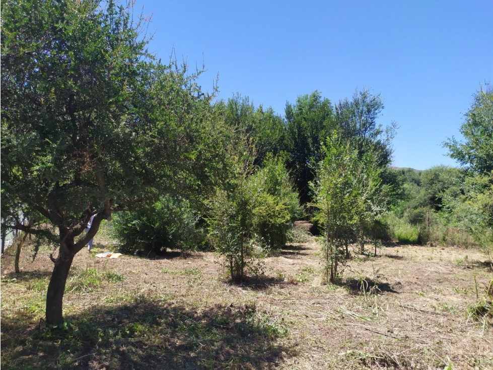 Lote en Comuna San Roque. Córdoba - 2