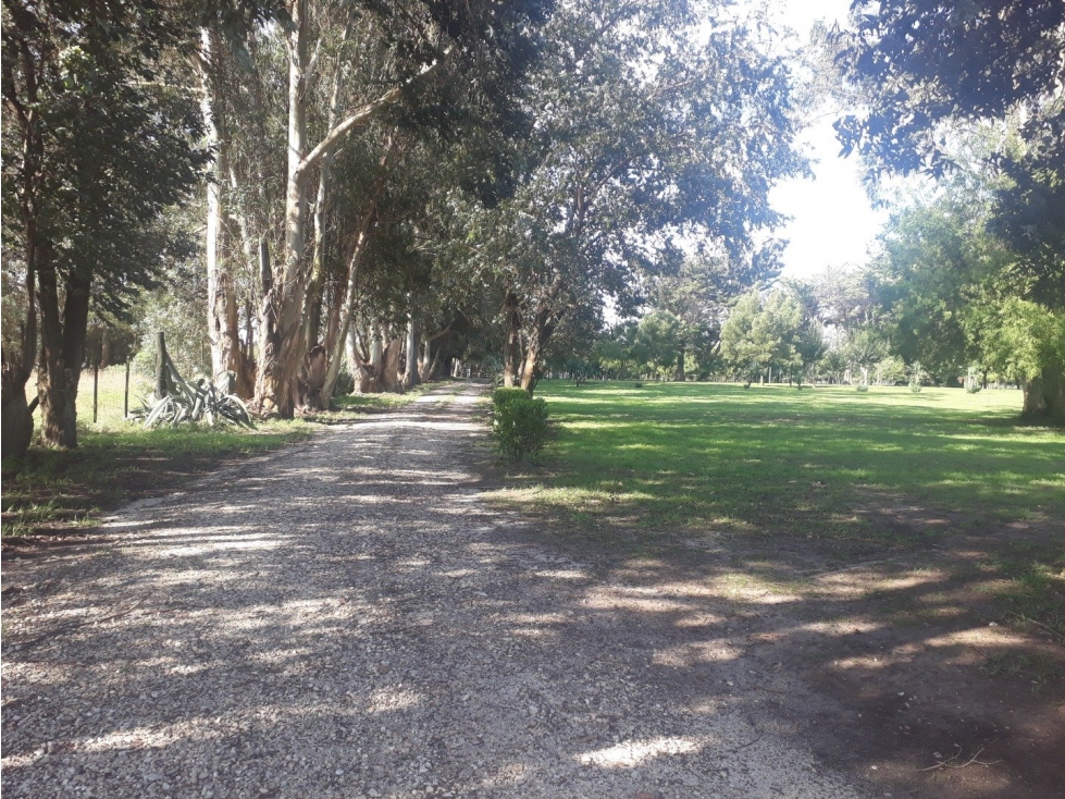 Complejo de eventos en funcionamiento 3 ha Ruta 2 — foto 2
