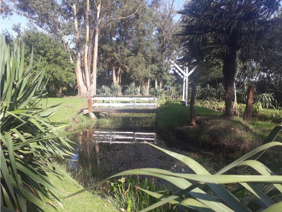 Complejo de eventos en funcionamiento 3 ha Ruta 2 — foto 6