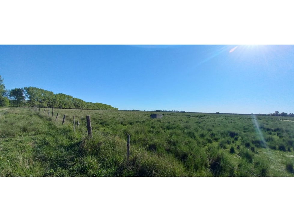 terreno en venta de 2646 m2 mariano acosta - 3